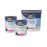 DULUX RENOVACE